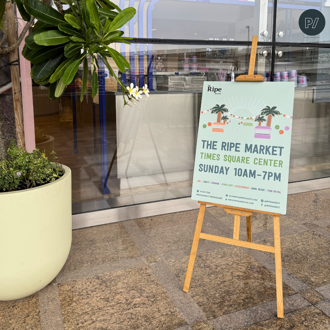 The Second Attempt: What a Small Market Taught Me About Becoming