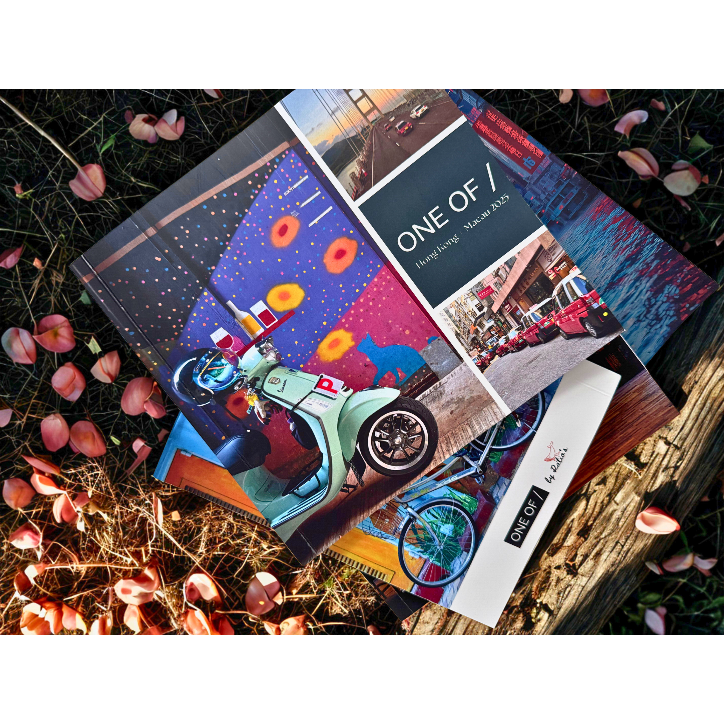 AFTER TRIP / Custom Books