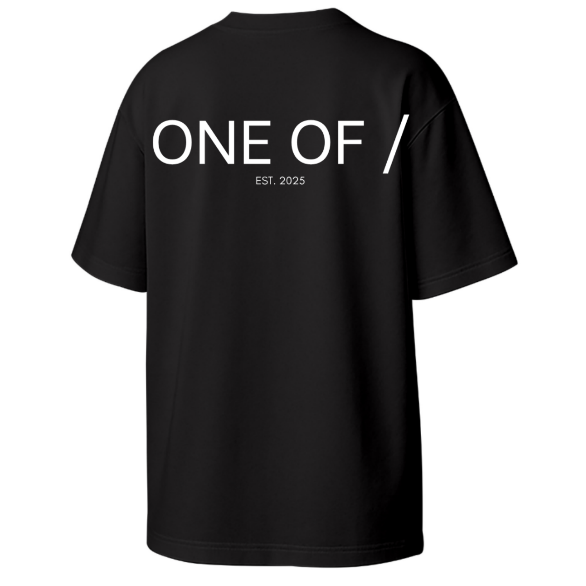 ONE OF / Exclusive T-Shirt - Around the World in 365