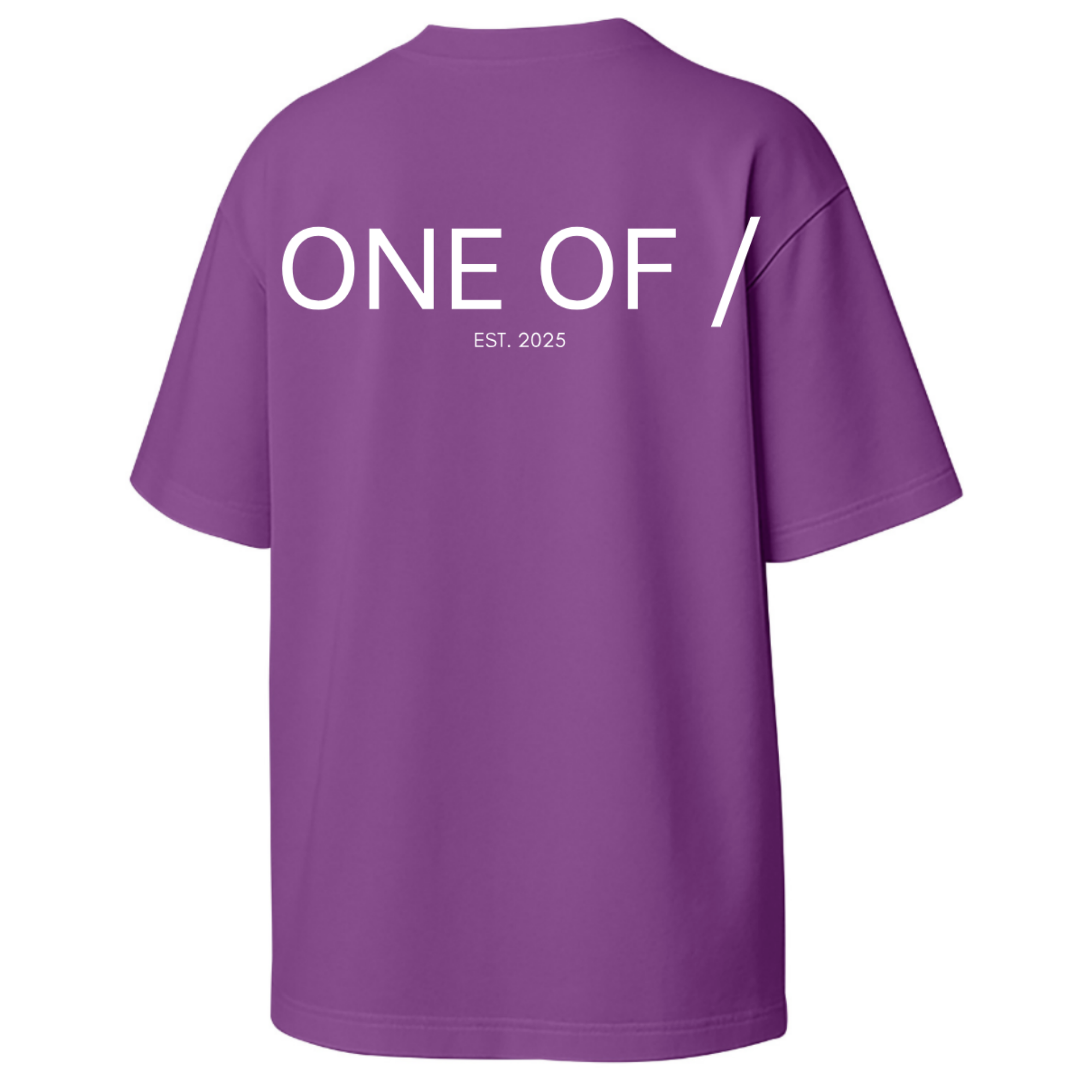 ONE OF / Exclusive T-Shirt - Around the World in 365