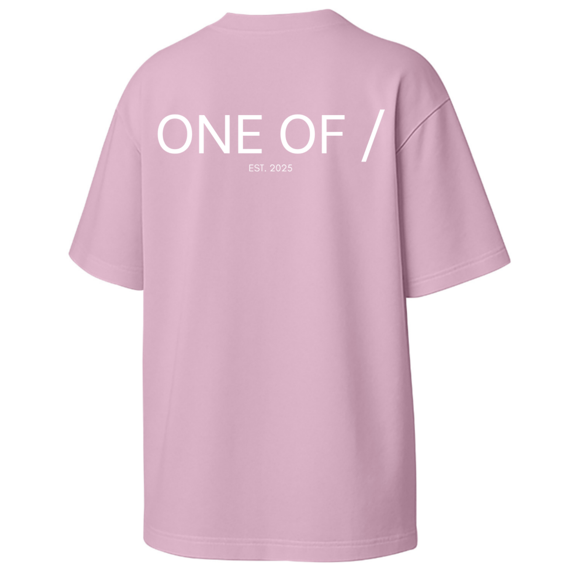 ONE OF / Exclusive T-Shirt - Around the World in 365