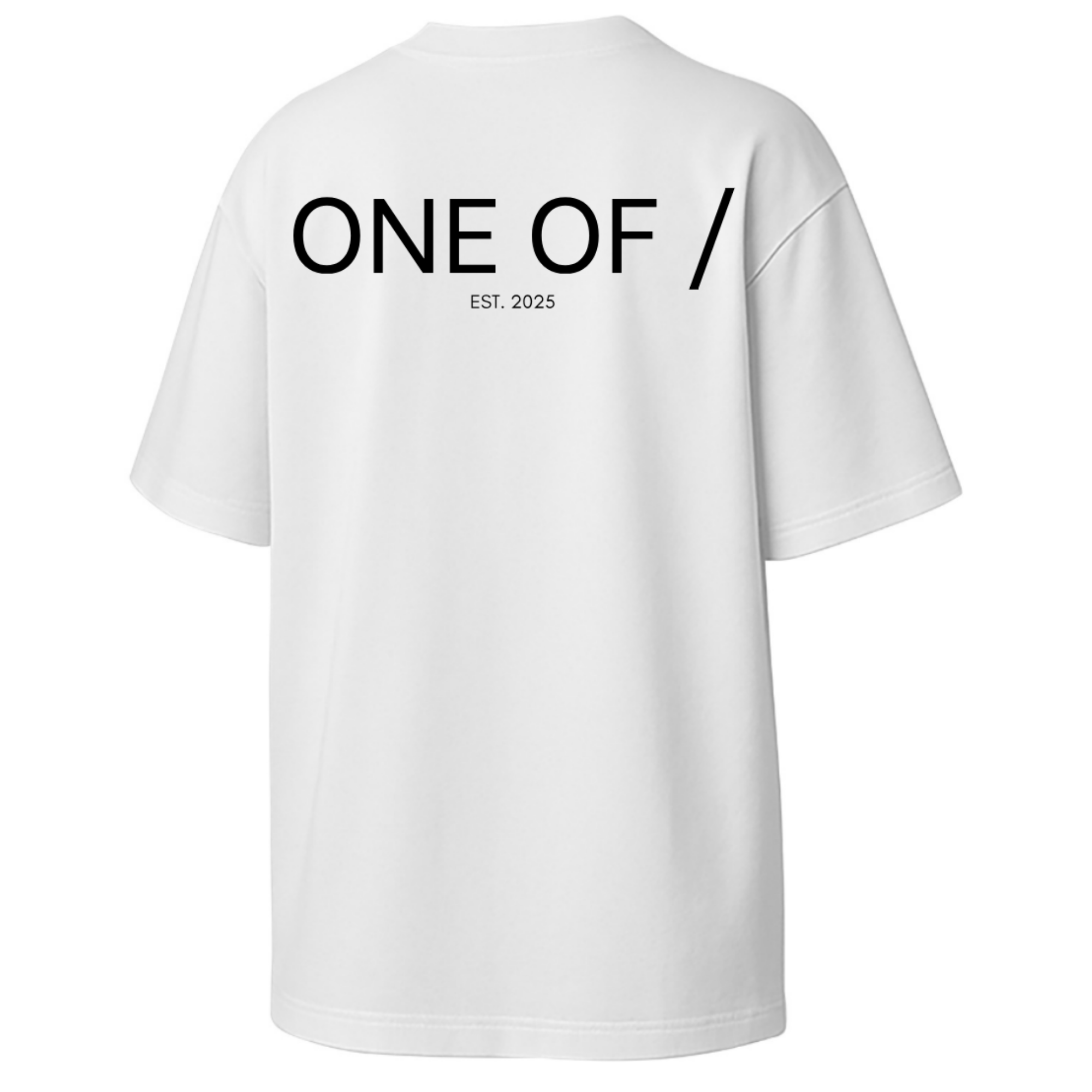 ONE OF / Exclusive T-Shirt - Around the World in 365